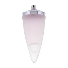 Toaletna voda Rochas Man 100 ml Testeri