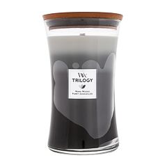 Mirisna svijeća WoodWick Trilogy Warm Woods 275 g